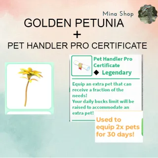 GOLDEN PETUNIA + PET HANDLER PRO CERTIFICATE