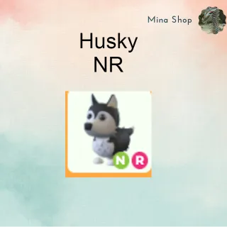 HUSKY - NR