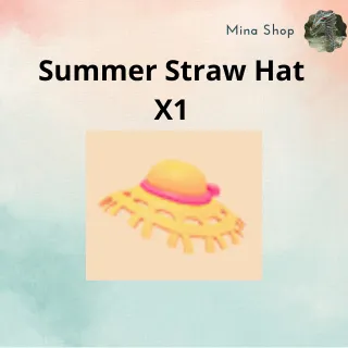 Summer Straw Hat X1