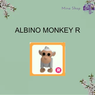 ALBINO MONKEY R