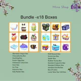 Bundle -x18 Boxes