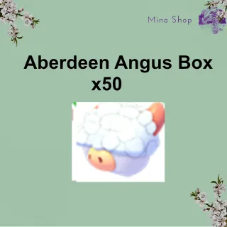 Aberdeen Angus Box - x50
