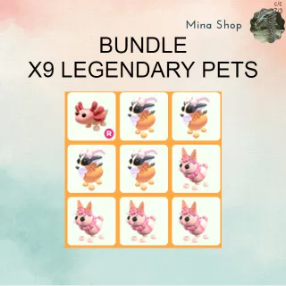 BUNDLE: X9 LEGENDARY PETS