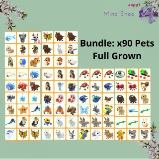 Bundle: x90 Pets Full Grown