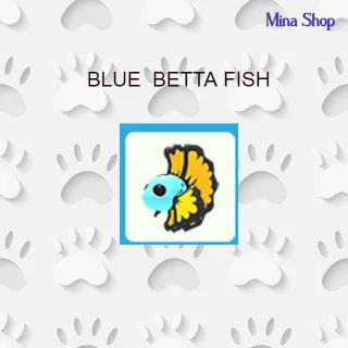 BLUE BETTA FISH 