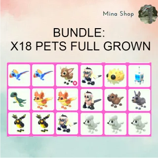 BUNDLE: X18 PETS FULL GROWN