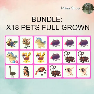 BUNDLE: X18 PETS FULL GROWN