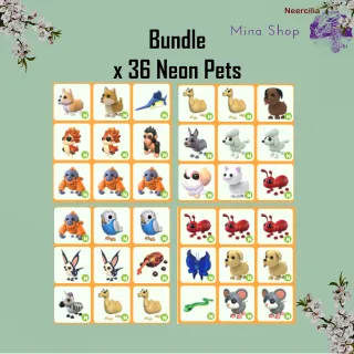 Bundle   - x 36 Neon Pets