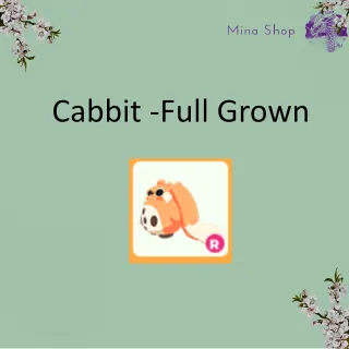 Cabbit -Full Grown