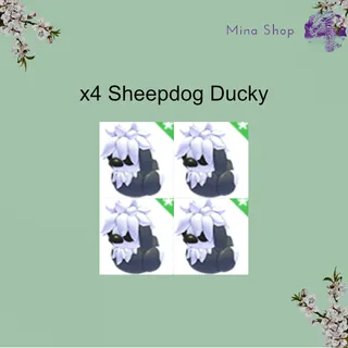 Sheepdog Ducky - x4
