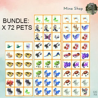 BUNDLE - X72 PETS