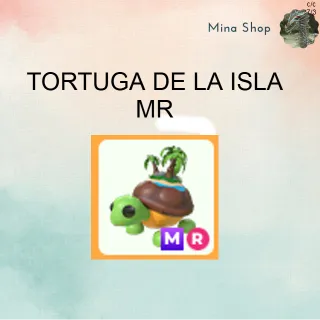 TORTUGA DE LA ISLA -MR