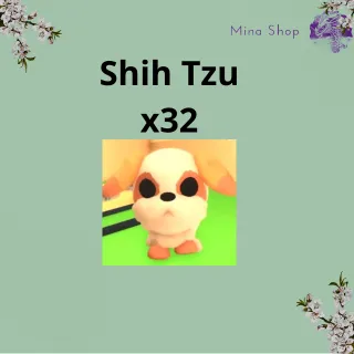 Shih Tzu x32