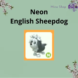 Neon English Sheepdog
