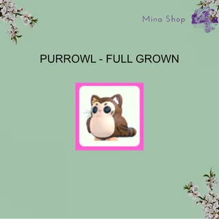PURROWL - FULL GROWN