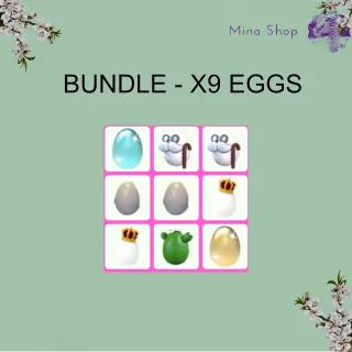 BUNDLE- X9 EGGS