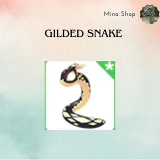 GILDED SNAKE