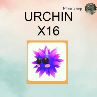 URCHIN - X16