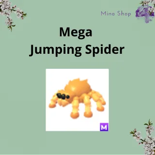 Mega  Jumping Spider