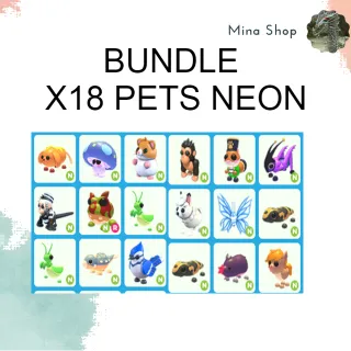 BUNDLE - X18 PETS NEON