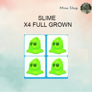 SLIME  X4 FULL GROWN