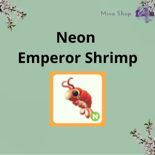 Neon Emperor Shrimp