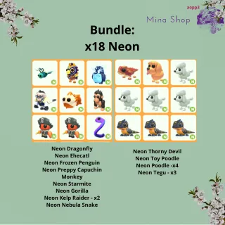 Bundle: x18 Neon