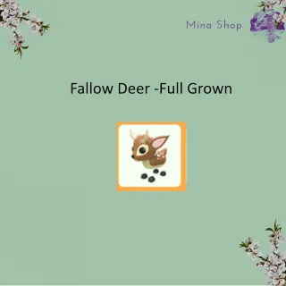 Fallow Deer -Full Grown