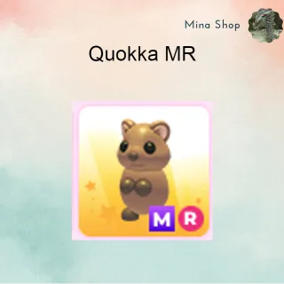 QUOKKA  MR