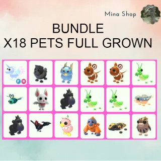 BUNDLE: X18 PETS FULL GROWN