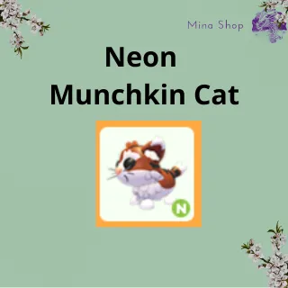 Neon Munchkin Cat