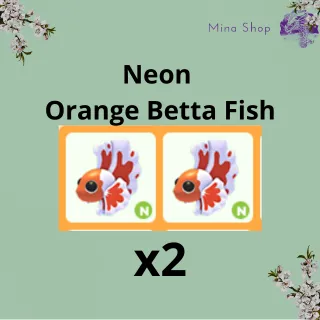 Neon  Orange Betta Fish - x 2