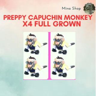 Preppy Capuchin Monkey -  x4 Full Grown