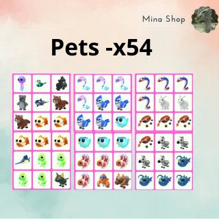 Pets - x54
