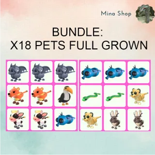 BUNDLE: X18 PETS FULL GROWN