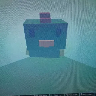 Huge Chicken 24.27kg