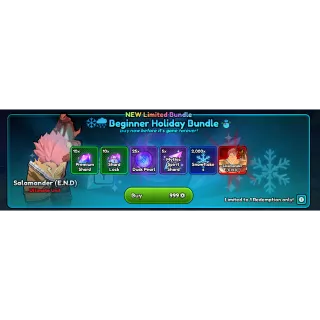 Beginner Holyday Bundle