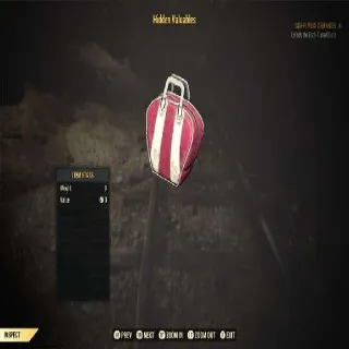 Hidden Valuables Misc