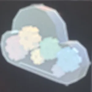 Rainbow Maker Pet wear