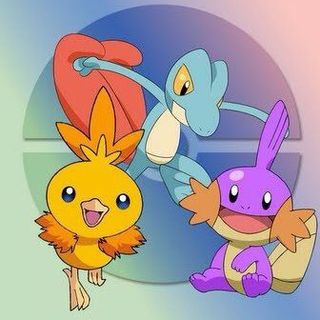 Pokemon Sword & Shield / Hoenn Starters / Shiny Treecko Mudkip 