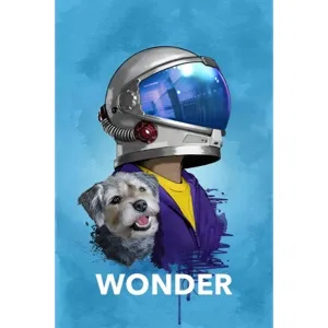 Wonder HD Vudu | iTunes [ FLASH DELIVERY ⚡️ ]