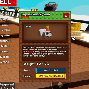 Peppermint French Ferret