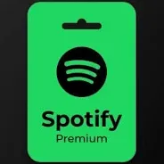 Spotify Premium upgrade 12 Month(Individual)