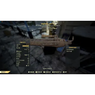 Kingfisher legacy unique  