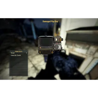 Damae pib boy  display  misc item