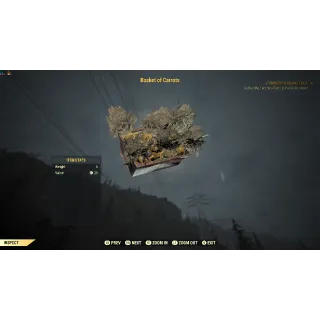 Basket of carrots misc item