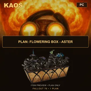 Plan: Flowering Box - Aster | PC