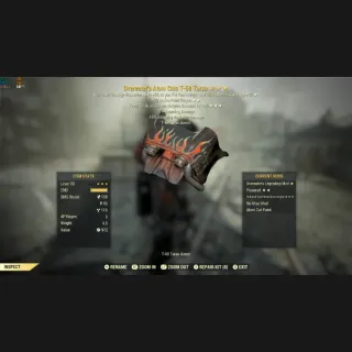 T60 oe ap fdcwr atom cat