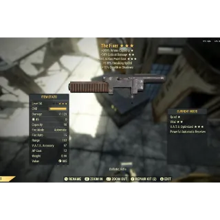 The fixer partial invisible 