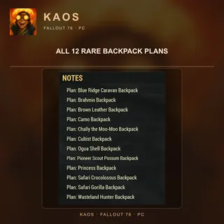 All 12 Rare Backpack Plans 